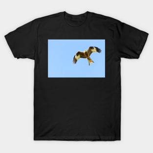 Red Kite in Flight T-Shirt